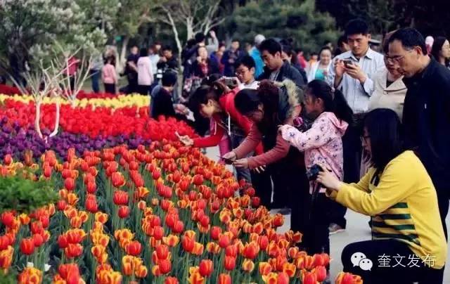 小手牵大手一同去郊游,小手拉着大手一起郊游