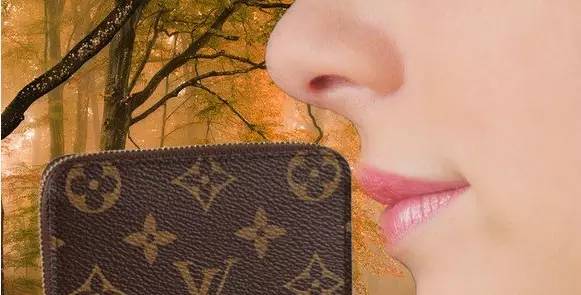 315打假正品次品,正版lv包怎么鉴别