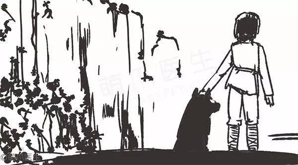 祸黑犬缘为哪般,察端倪智用乳齿