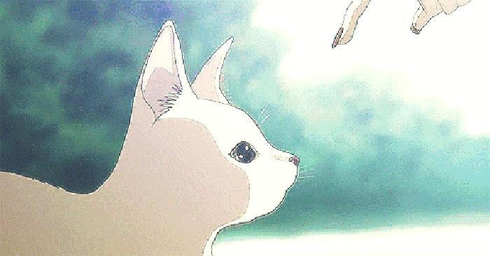 平价又好用的国货护肤品十大排行,十大好用又平价的护肤品