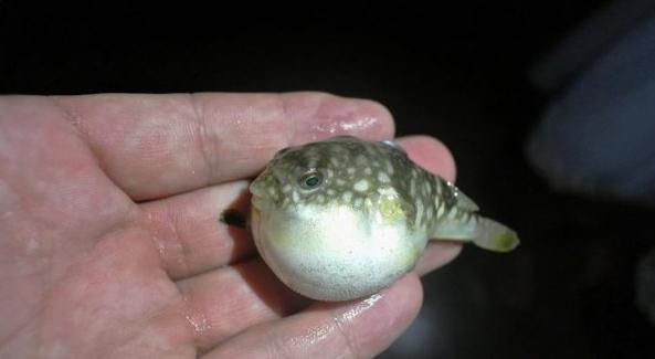 去台湾最近的地方,去祖国大陆离台湾最近的地方