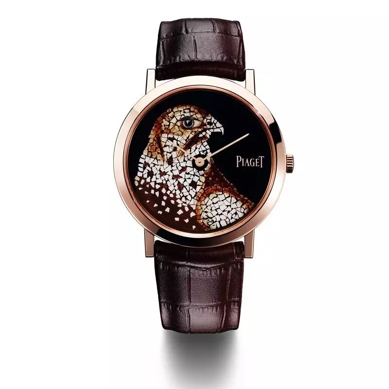 腕上鸟类图鉴｜谁是颜值之巅？