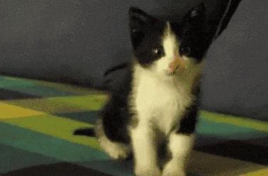 为什么玛丽莲梦露要穿麻袋,梦露贝克汉姆米兰达可儿