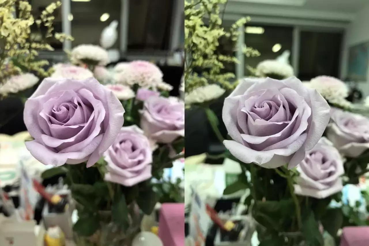 苹果8和苹果7哪个更好用,苹果8和苹果7哪个好用