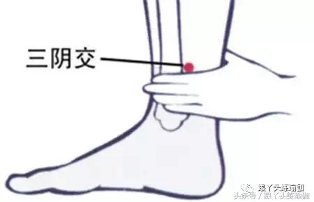 “常揉三阴交，终身不变老”，今天看看女性理疗的秘密