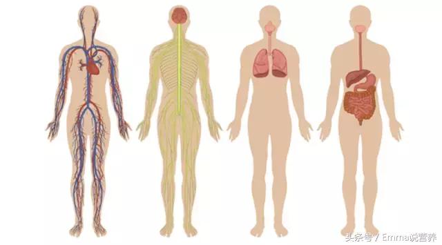 “卵磷脂”并非“然并卵”，它的好处你可知道？