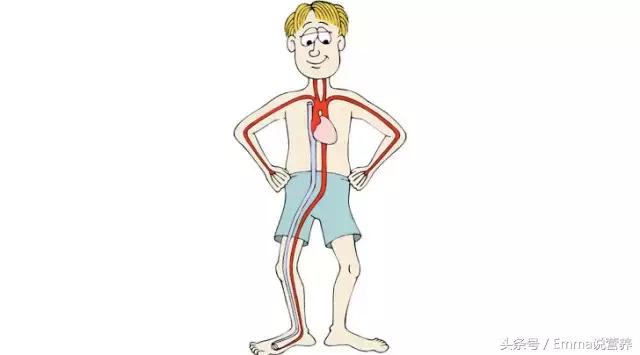 “卵磷脂”并非“然并卵”，它的好处你可知道？