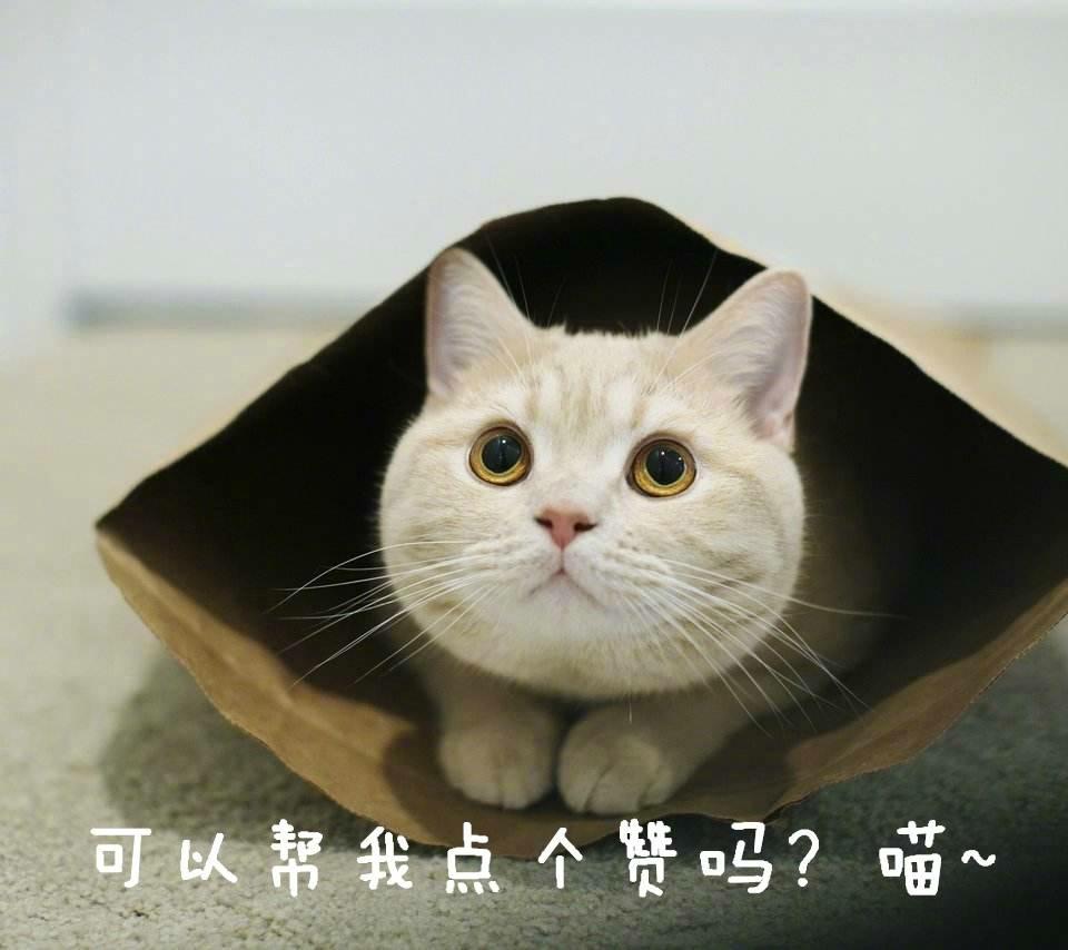 来亳州需要注意什么,亳州特产适合携带