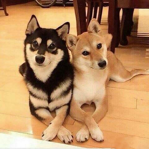 来亳州需要注意什么,亳州特产适合携带