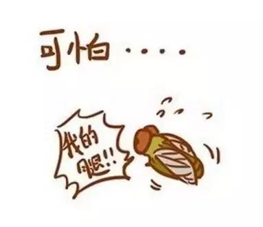 用了这几款睫毛膏,晕的连我亲妈都不认识!