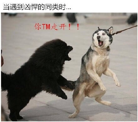 员工辞职理由怎么写,员工辞职申请需要审批吗