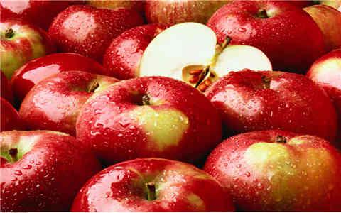 美女酿酒秘方,美女酿酒师精酿啤酒