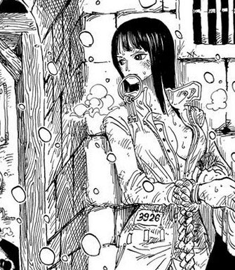 海贼王最吸引的片段,海贼王最吸引你的是什么