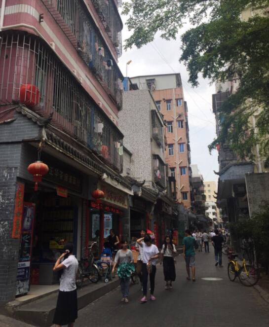 深圳历史上真实的遗迹,一起来挖恐龙化石