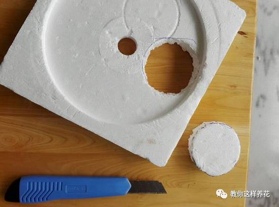 自制绿萝棕柱视频,自制绿萝柱子