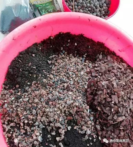 自制绿萝棕柱视频,自制绿萝柱子