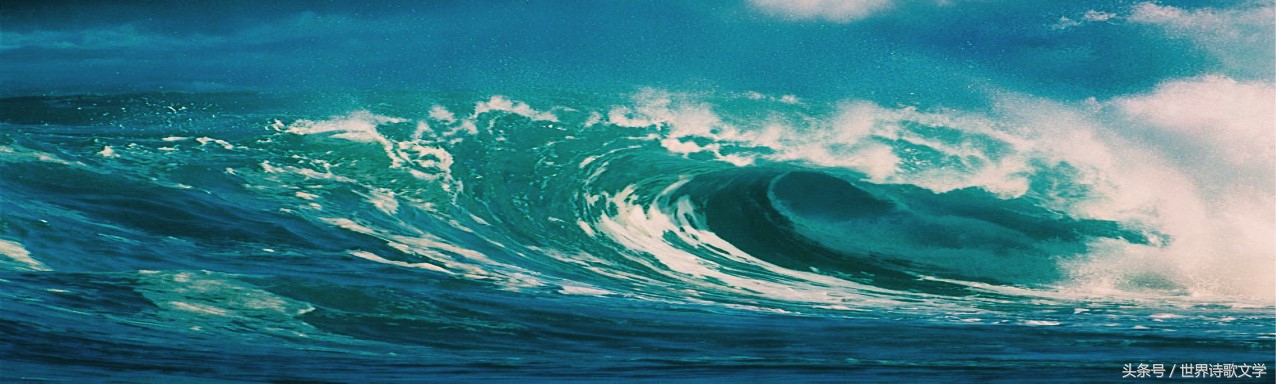 「世界诗歌文学」浪头一直举起没有倒下，很多事物一哄而散