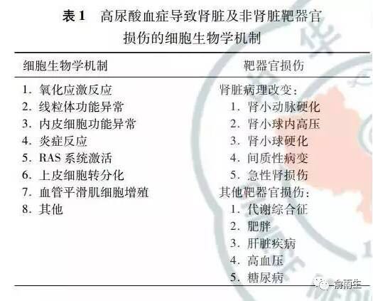 高尿酸血症与肾脏病,中国肾脏疾病高尿酸血症诊治指南