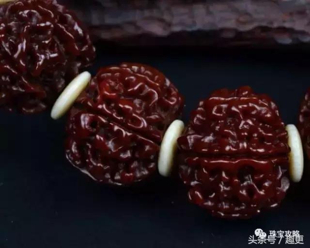 文玩里的虫,文玩里的虫子是什么虫子