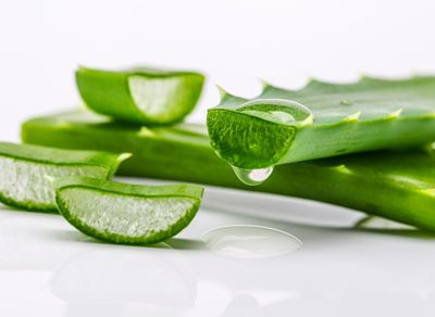 市面上芦荟胶没有效果？不如用生芦荟来敷脸，5个方法来自制面膜
