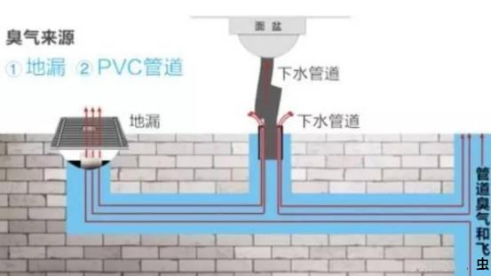 室内卫生间防臭小妙招,屋内厕所臭用什么办法除臭