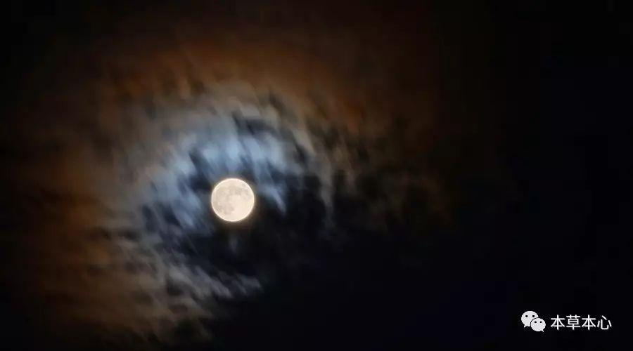 踏秋时节，雨霏霏，明日就是秋分