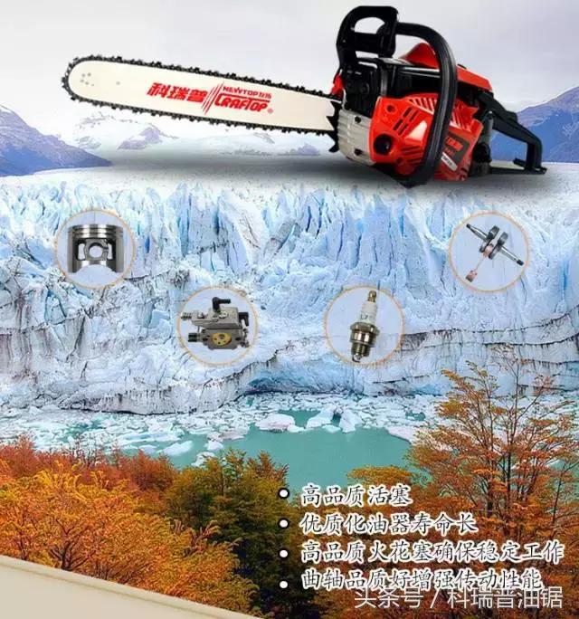 伐木油锯使用注意事项,油锯伐木时需要注意什么