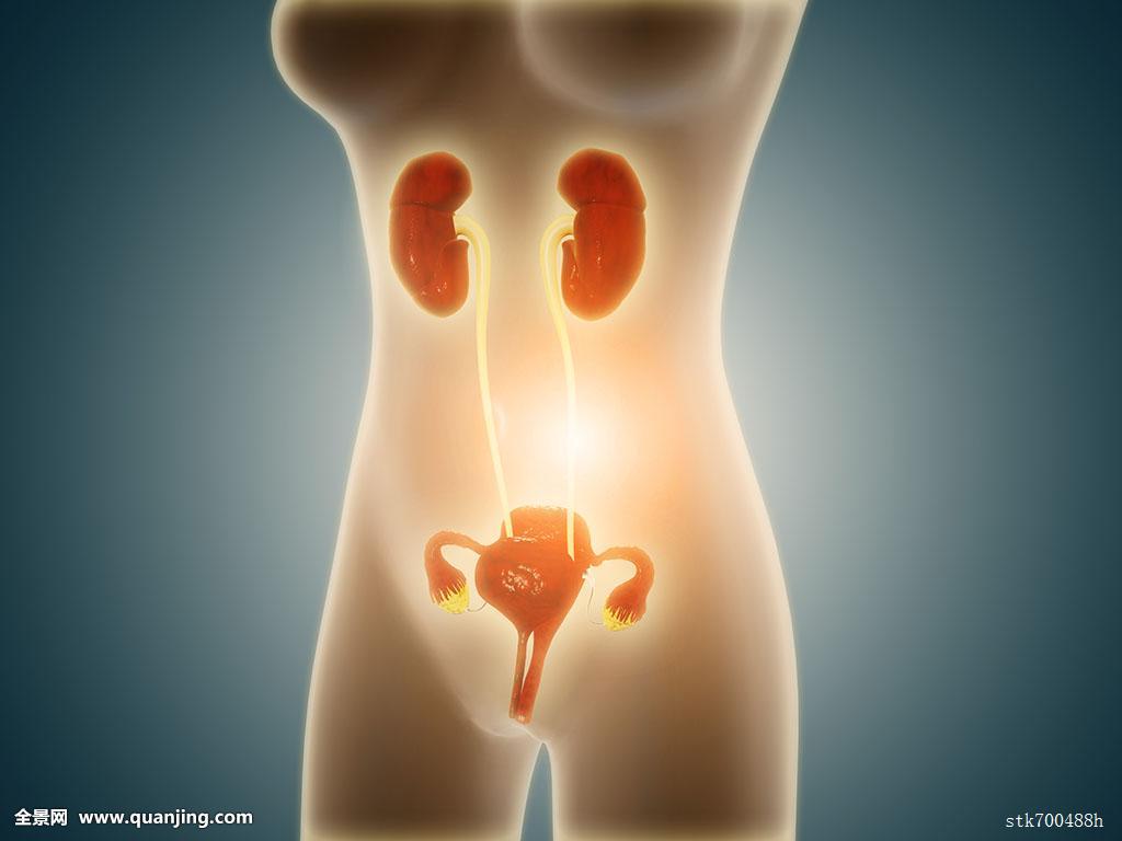 妇科炎症有哪些症状外阴瘙痒,妇科炎症有哪些症状呢