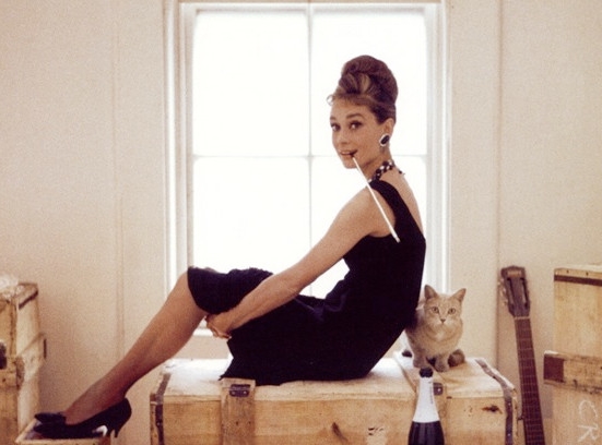 可爱猫咪动画片有哪些,十大可爱的猫咪动画片