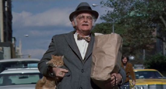 可爱猫咪动画片有哪些,十大可爱的猫咪动画片