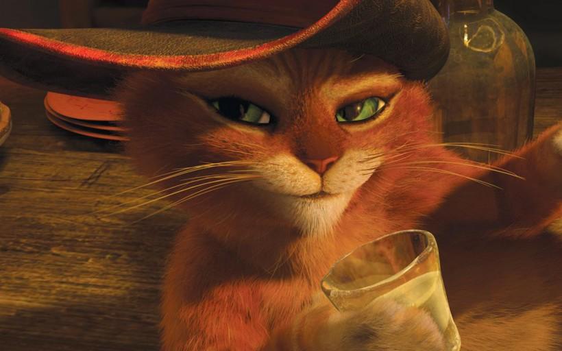 可爱猫咪动画片有哪些,十大可爱的猫咪动画片