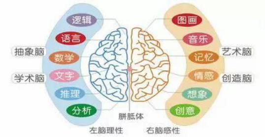 还在为记单词发愁,还在为自然拼读发愁吗