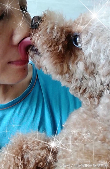 “舔式疗法”能为我们疗伤治病，可惜很多人不知