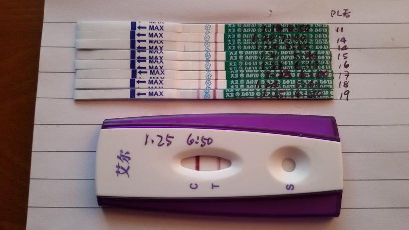 备孕期间需要天天锻炼吗,备孕期间要天天做功课