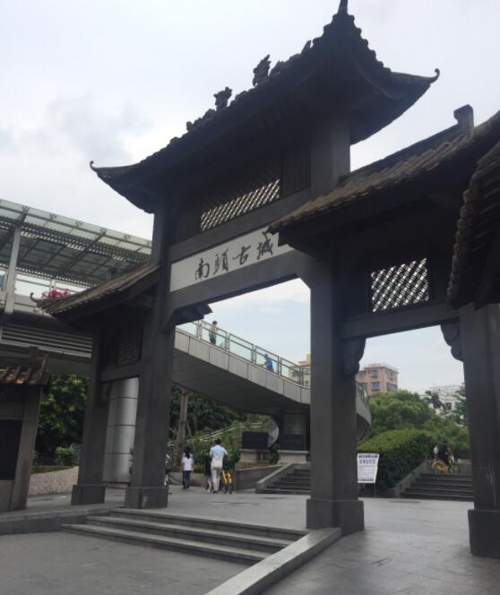 深圳历史上真实的遗迹,一起来挖恐龙化石