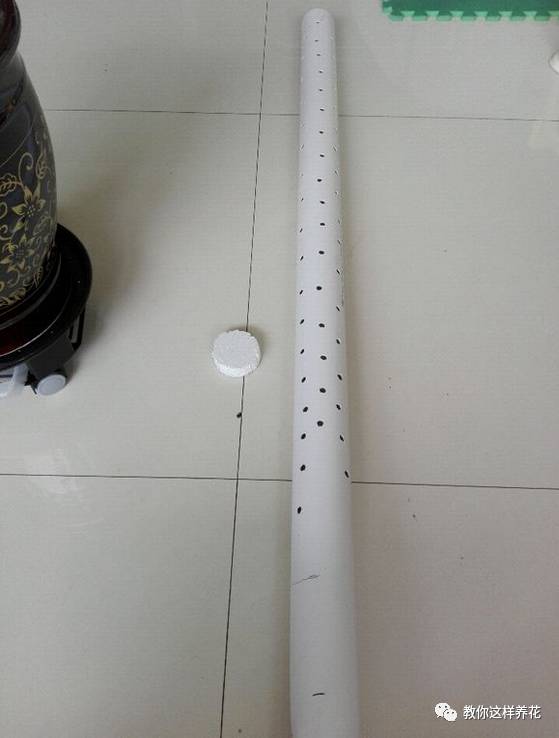 自制绿萝棕柱视频,自制绿萝柱子