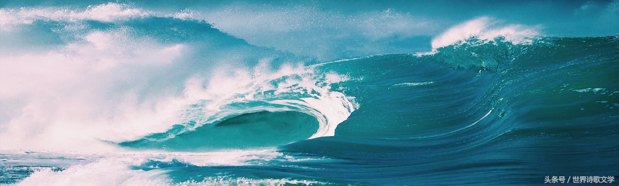 「世界诗歌文学」浪头一直举起没有倒下，很多事物一哄而散