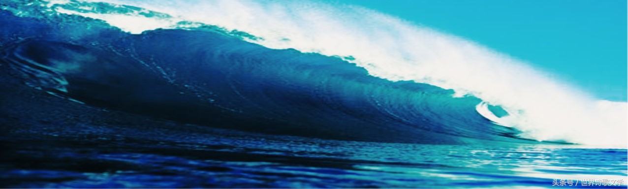 「世界诗歌文学」浪头一直举起没有倒下，很多事物一哄而散