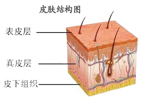 白癜风科普中医治疗白癜风的优势,白癜风治疗要先知道哪些知识