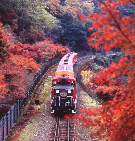 京都岚山小火车旅游攻略,京都岚山枫叶攻略
