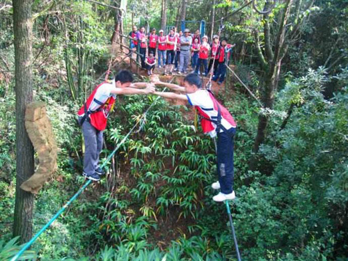 现在农村最实用的致富经营门路,农村致富三大诀窍是什么