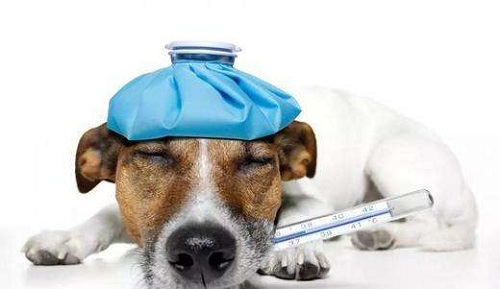 注意预防远离流感,秋冬季如何预防流感和新冠