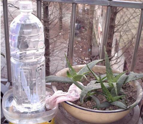简易浇花滴漏装置制作方法,废物利用制作浇花器的教学
