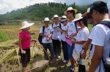 当村官的好处多,大学生回村当村官有前途吗