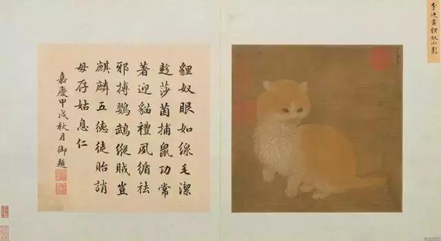 唐伯虎画猫名家作品,中国古代名家画的猫