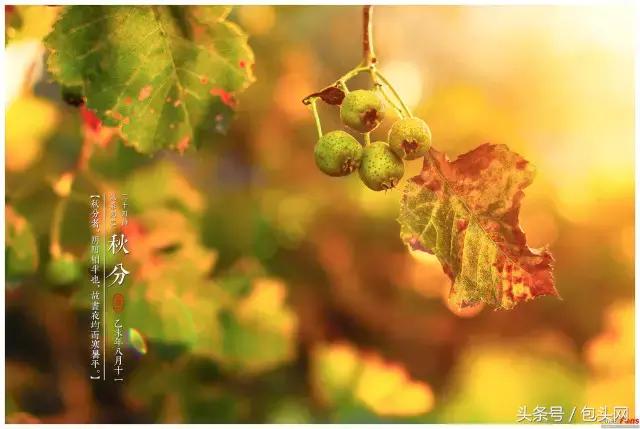 包头天气温差变化大吗,包头九月份气温是多少度
