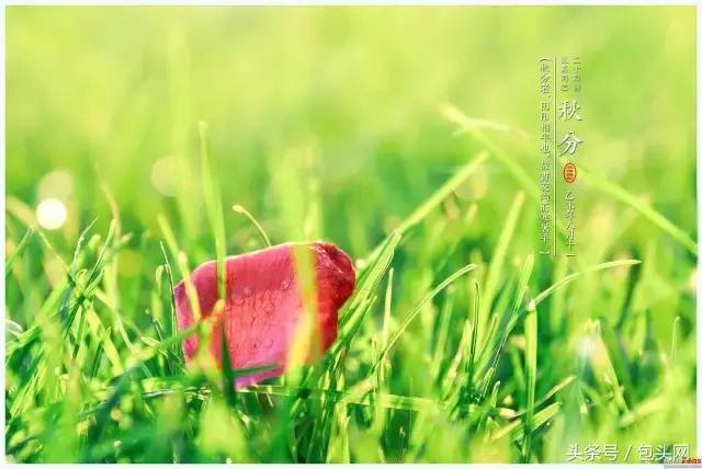 包头天气温差变化大吗,包头九月份气温是多少度