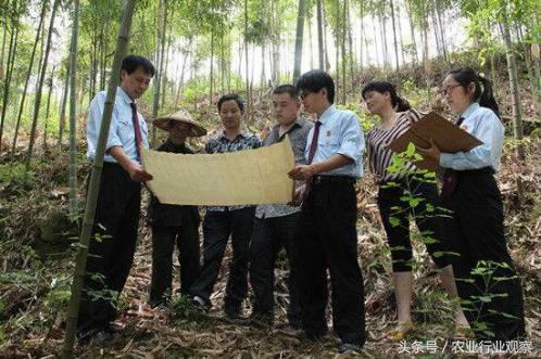 投资农业最好的机会是已经到了吗,农业是下一个投资风口吗