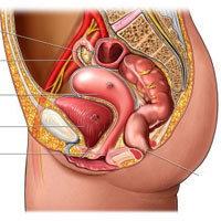 先天畸形是怎么造成的,采取什么措施预防先天畸形的发生