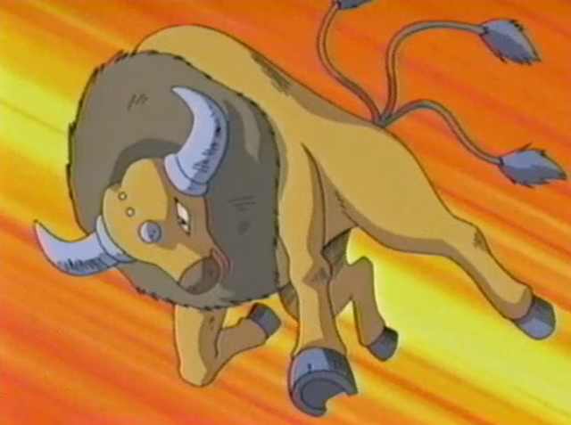 小智最强的神奇宝贝是不是皮卡丘,小智收服的十大神奇宝可梦